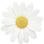 daisy-chain-thing's avatar
