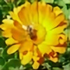 daisy-march's avatar