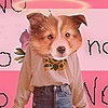 DaisyDog11's avatar