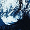 dangrove's avatar