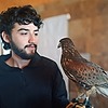 danilodino's avatar