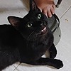 DaniMines's avatar