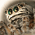 Dark-Raptor's avatar