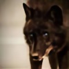 Dark-Wolf-xx's avatar