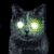 DarkBunniDNR's avatar