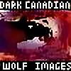 DarkCanadianWolf3550's avatar