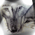 darkenedwolf's avatar