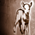 darkink's avatar