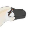 darkotaraptor's avatar