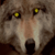 DarkWolf12's avatar