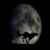 darkwolf122333's avatar