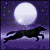 darkwolvesangle's avatar