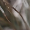 DavidMo's avatar