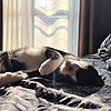davidoliveiradev's avatar