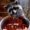 DDSV's avatar