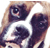 deathbycanon's avatar