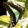 Decaying-Butterflies's avatar