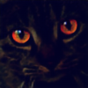 Demonchristmascat's avatar