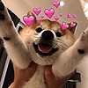 DemonShibaInu's avatar