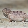 DesertChameleon's avatar