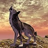 DevonRenfew's avatar