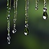 DewdropAdoptables's avatar
