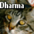 dharmasimone's avatar