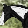 diamondhorses111's avatar