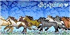 Digiquine's avatar