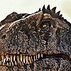 DinoBoy20050's avatar
