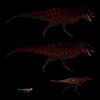 Dinoman65's avatar