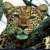 DinoRawr2's avatar
