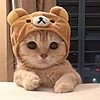 dinosaurohs's avatar