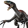 dinotracker69's avatar