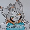 Diskeit's avatar