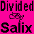 DividedBySalix's avatar