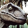 DizzyRaptor's avatar