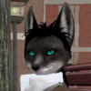 dmelyran1914's avatar