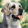 Dog-drawing's avatar