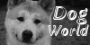Dog-world's avatar