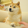 Doge225's avatar