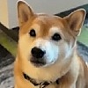 doge3465Arts's avatar