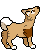 dogeh's avatar