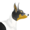 dogerzclub's avatar