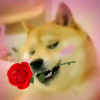 DogeWithaRose's avatar