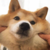 Doggo-go-arf's avatar