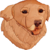 DoggoGod's avatar