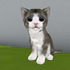 Dogperson100's avatar