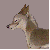 DogPuppet's avatar
