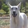 dogwhimphotos's avatar